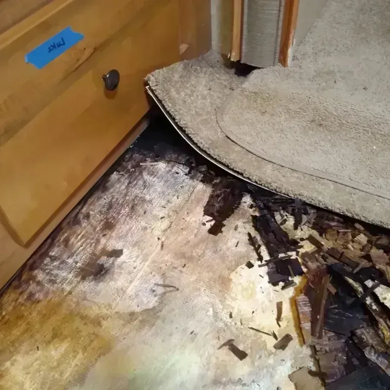 Wood Floor Water Damage in Westland, MI